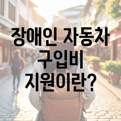장애인 자동차 구입비 지원이란?