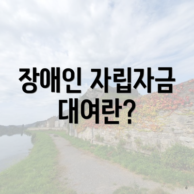 장애인 자립자금 대여란?
