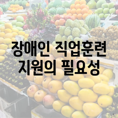 장애인 직업훈련 지원의 필요성