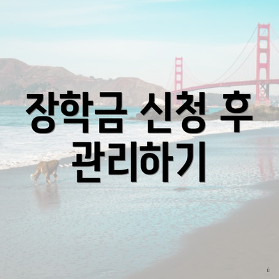 장학금 신청 후 관리하기