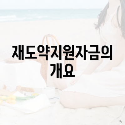 재도약지원자금의 개요