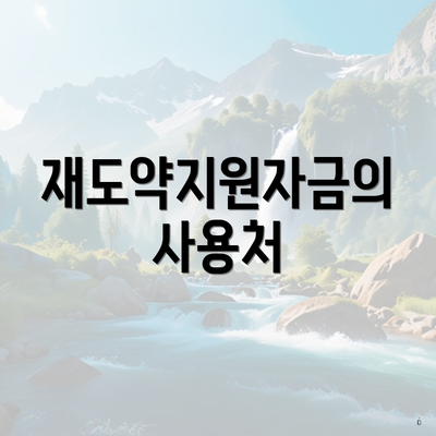 재도약지원자금의 사용처