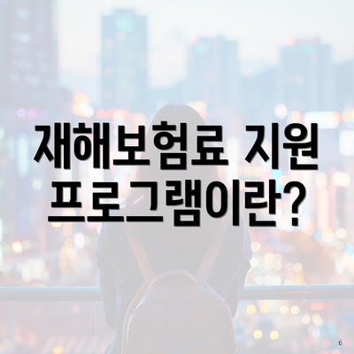 재해보험료 지원 프로그램이란?