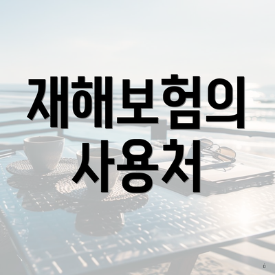 재해보험의 사용처