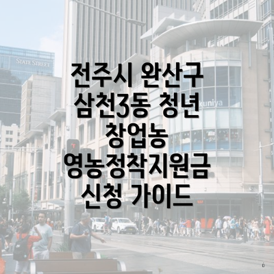 전주시 완산구 삼천3동 청년 창업농 영농정착지원금 신청 가이드