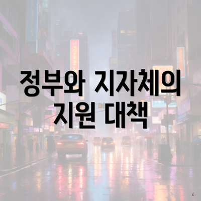 정부와 지자체의 지원 대책