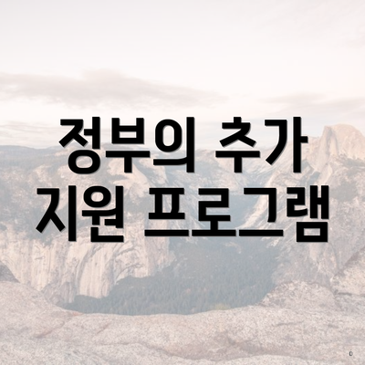 정부의 추가 지원 프로그램