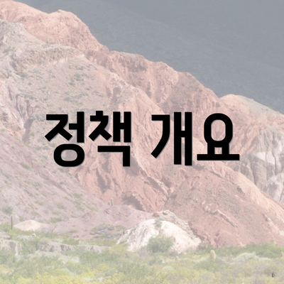 정책 개요