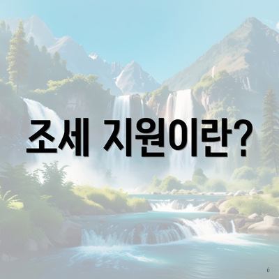 조세 지원이란?