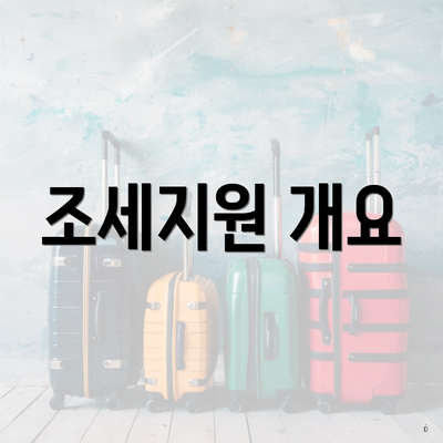 조세지원 개요