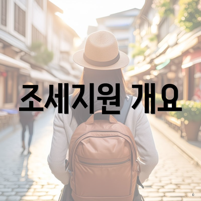 조세지원 개요