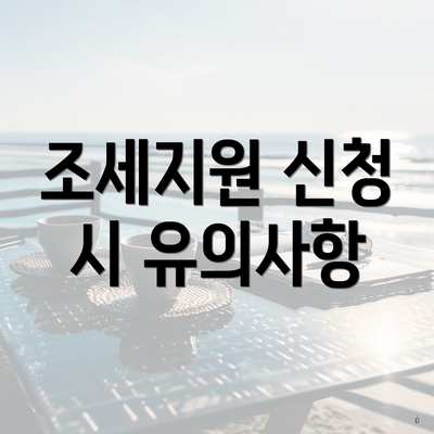 조세지원 신청 시 유의사항