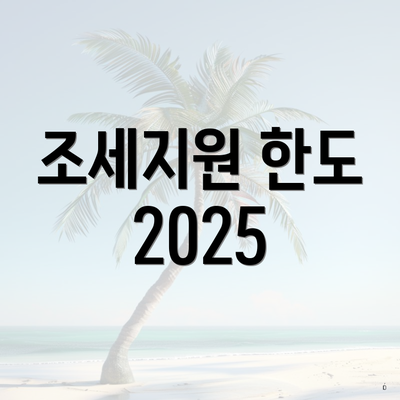 조세지원 한도 2025