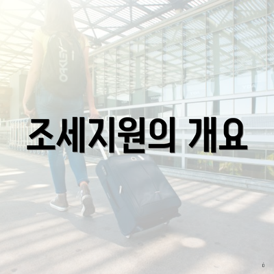 조세지원의 개요