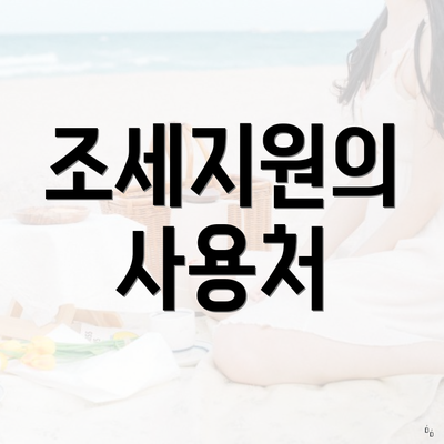 조세지원의 사용처