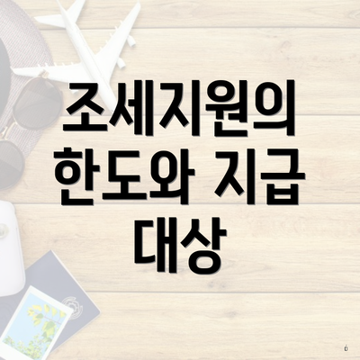 조세지원의 한도와 지급 대상