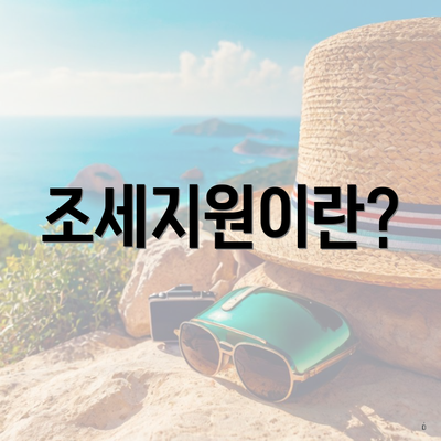 조세지원이란?