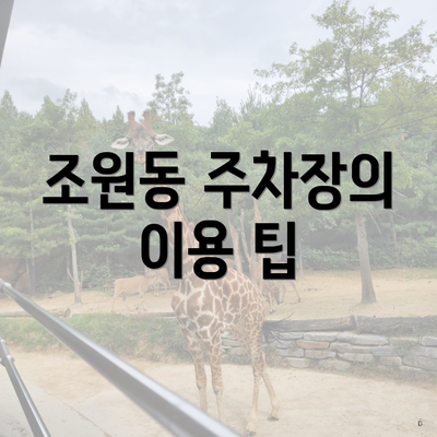 조원동 주차장의 이용 팁