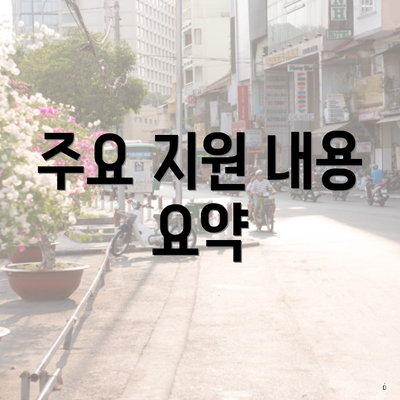 주요 지원 내용 요약