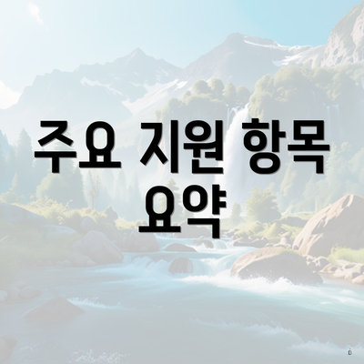 주요 지원 항목 요약