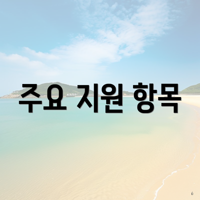 주요 지원 항목
