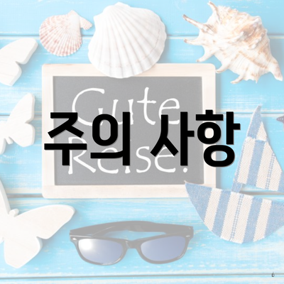 주의 사항