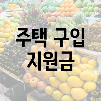 주택 구입 지원금