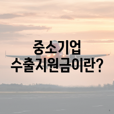 중소기업 수출지원금이란?