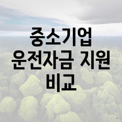 중소기업 운전자금 지원 비교