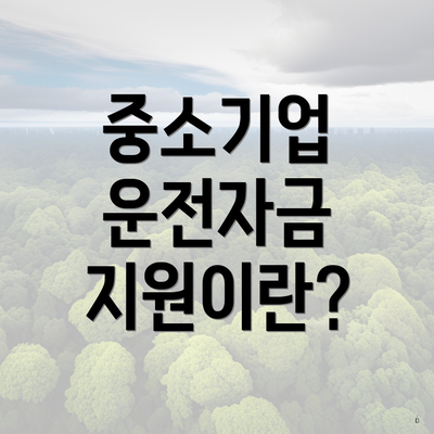 중소기업 운전자금 지원이란?