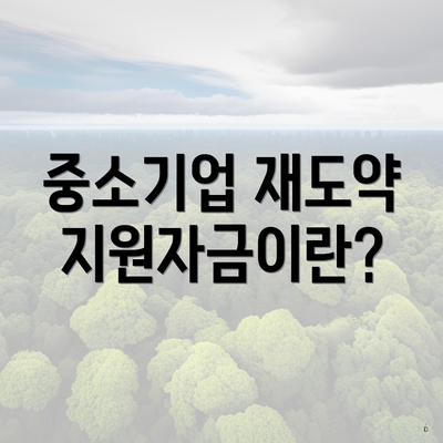 중소기업 재도약지원자금이란?