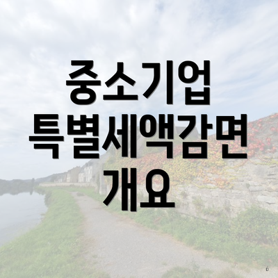 중소기업 특별세액감면 개요