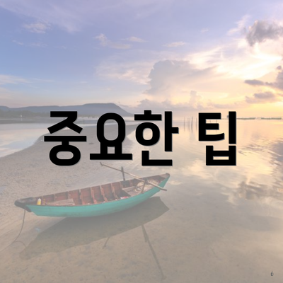 중요한 팁