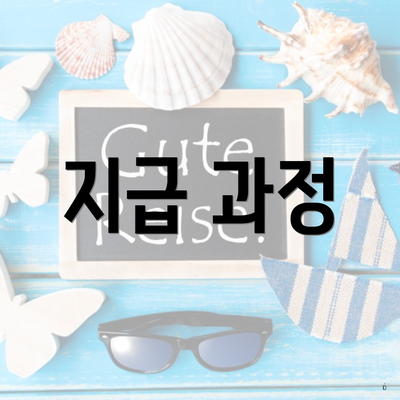 지급 과정