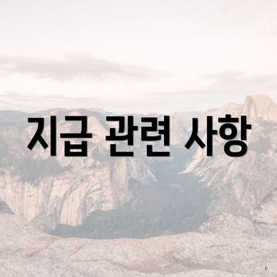 지급 관련 사항