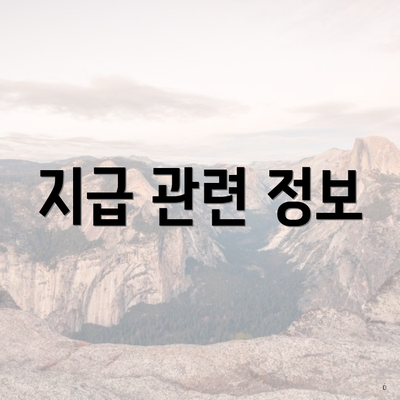 지급 관련 정보