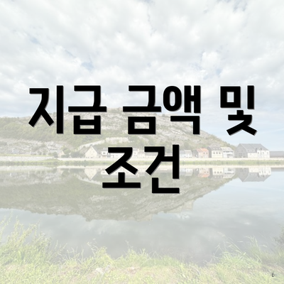 지급 금액 및 조건