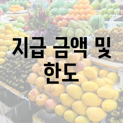 지급 금액 및 한도