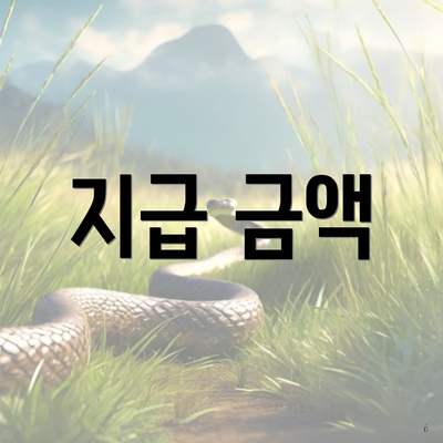 지급 금액