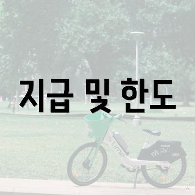 지급 및 한도