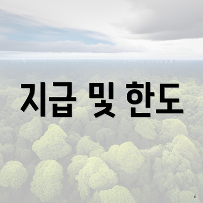 지급 및 한도