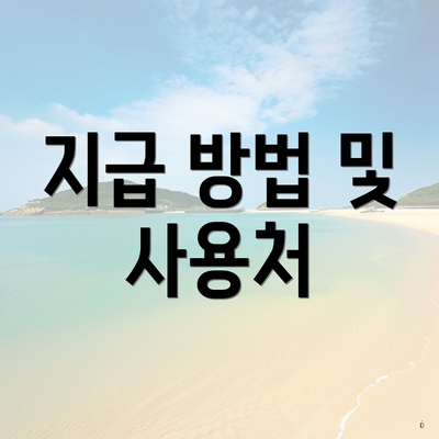 지급 방법 및 사용처