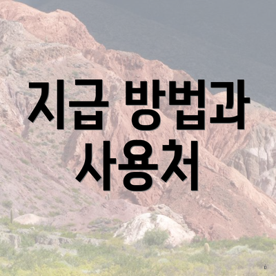 지급 방법과 사용처