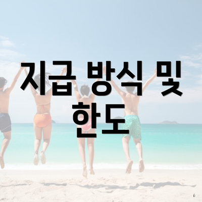 지급 방식 및 한도