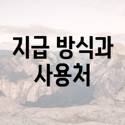 지급 방식과 사용처