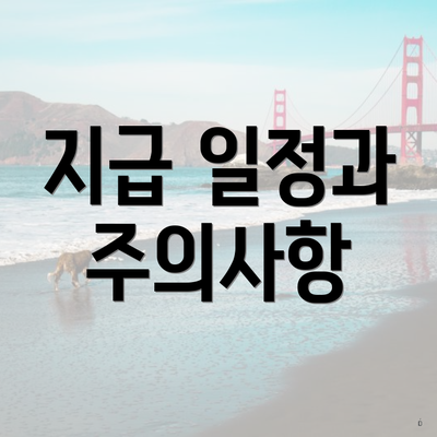 지급 일정과 주의사항