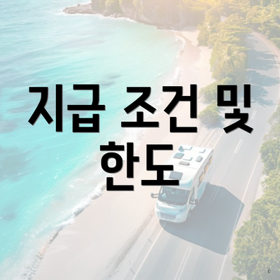지급 조건 및 한도