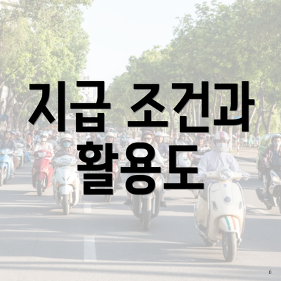 지급 조건과 활용도