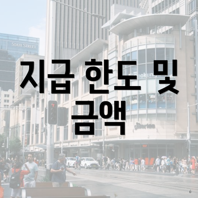 지급 한도 및 금액