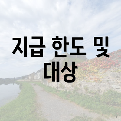지급 한도 및 대상